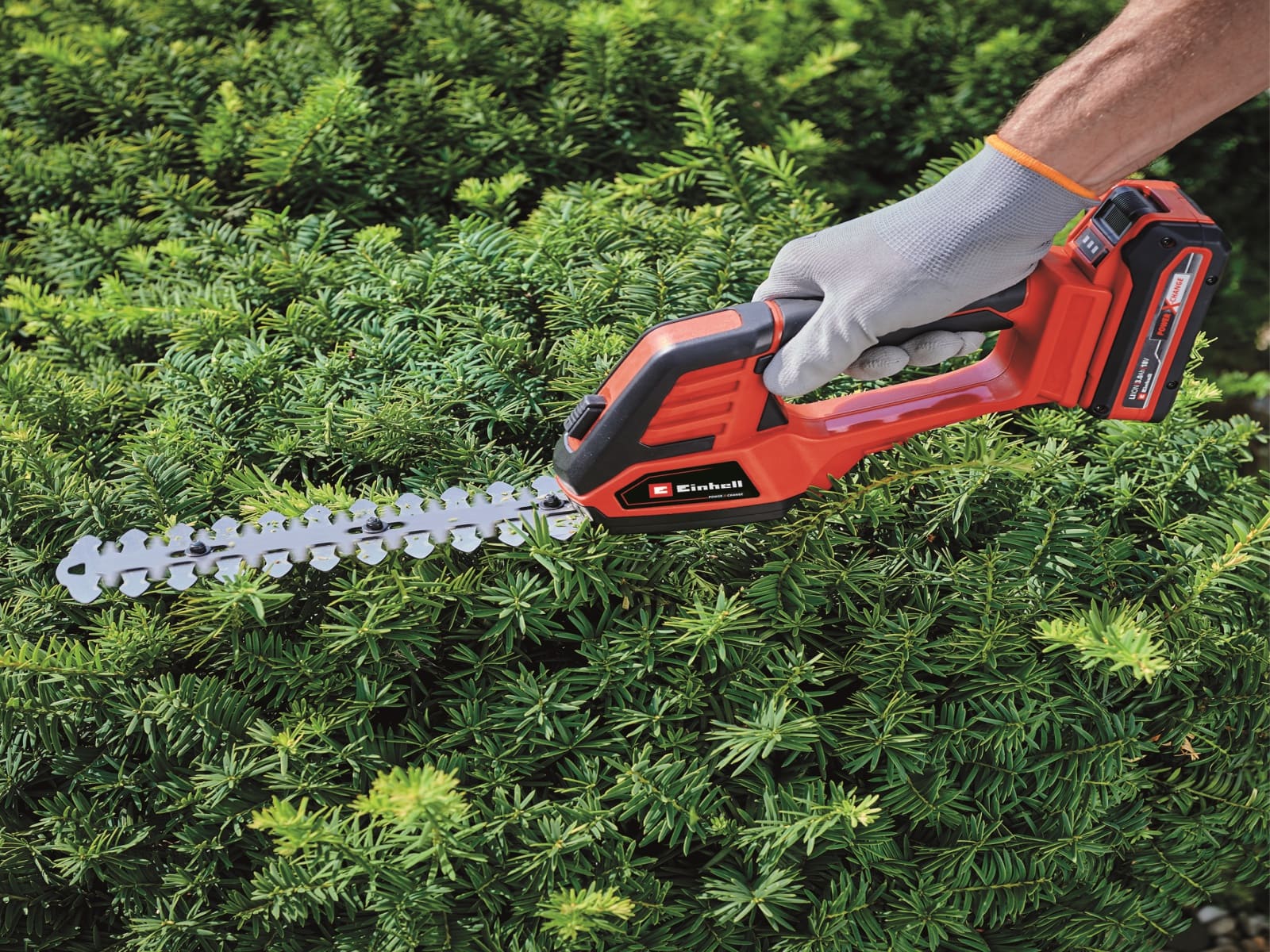 EINHELL Akku-Gras- und Strauchschere GE-CG 18/100 Li + Starterset