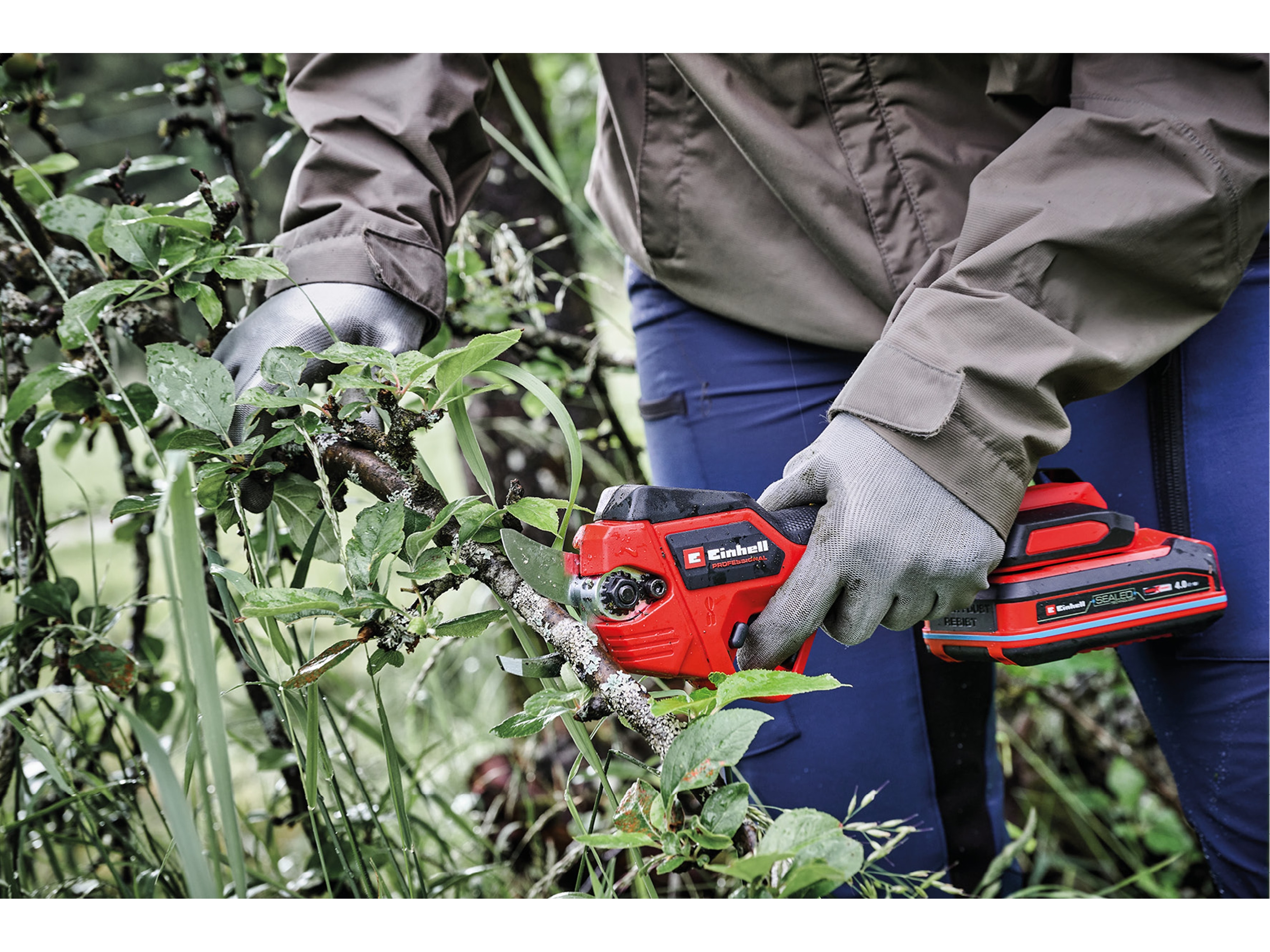 EINHELL PROFESSIONAL Akku-Astschere GP-LS 18/28 Li T BL Kit (1x 4,0 Ah)