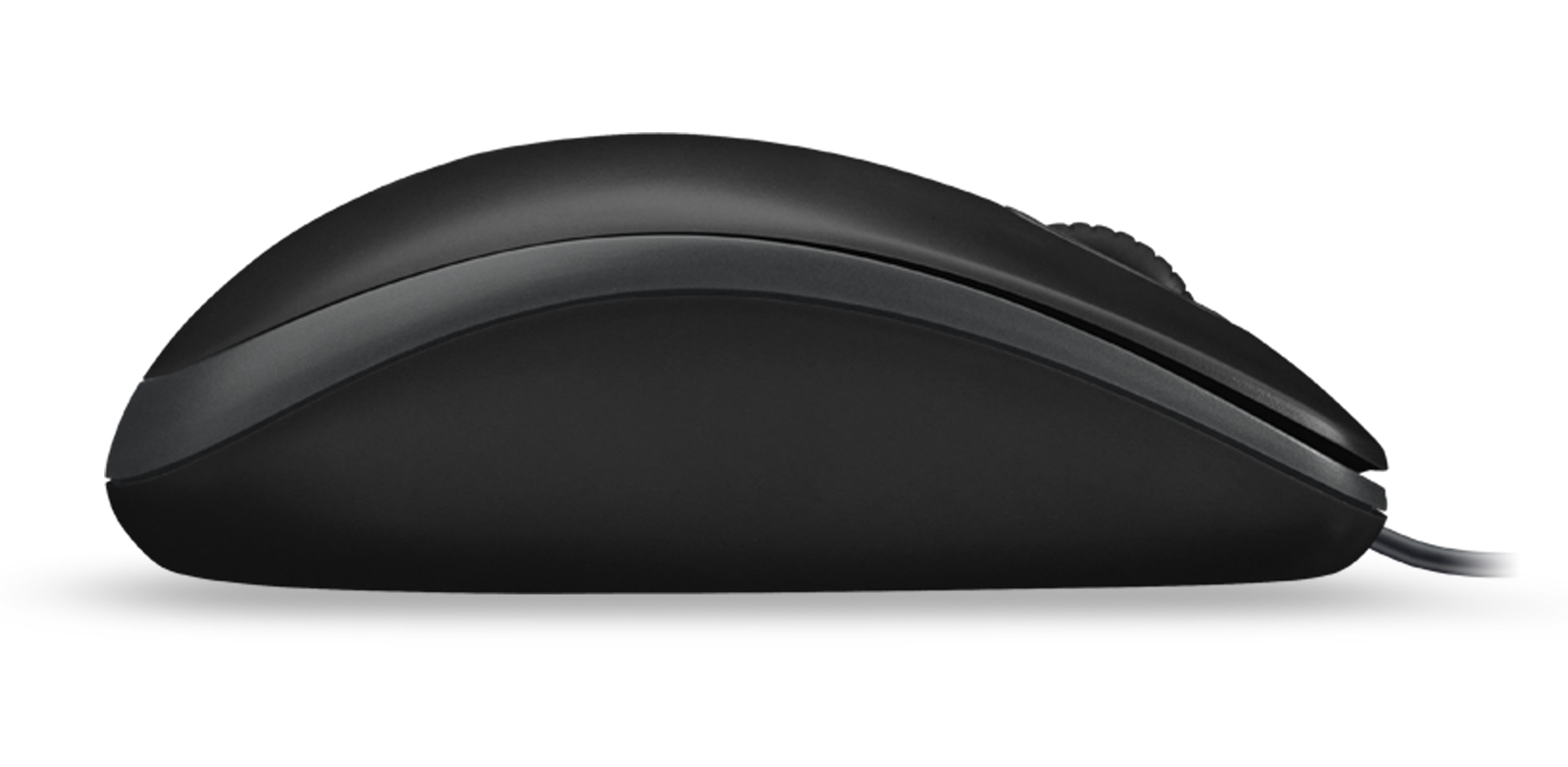 LOGITECH USB-Maus B100, optisch, 800 dpi, schwarz LOGITECH USB-Maus B100, optisch, 800 dpi, schwarz