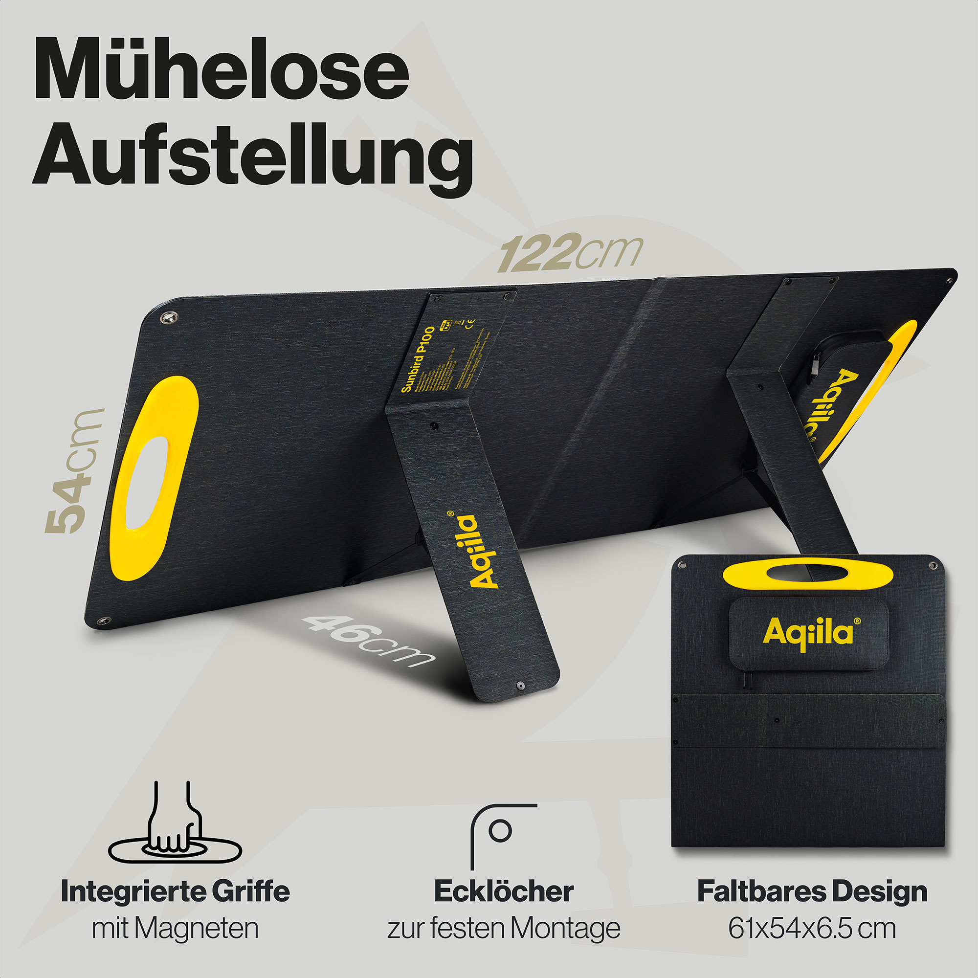 AQIILA Solarpanel Sunbird P100, 100 W, schwarz