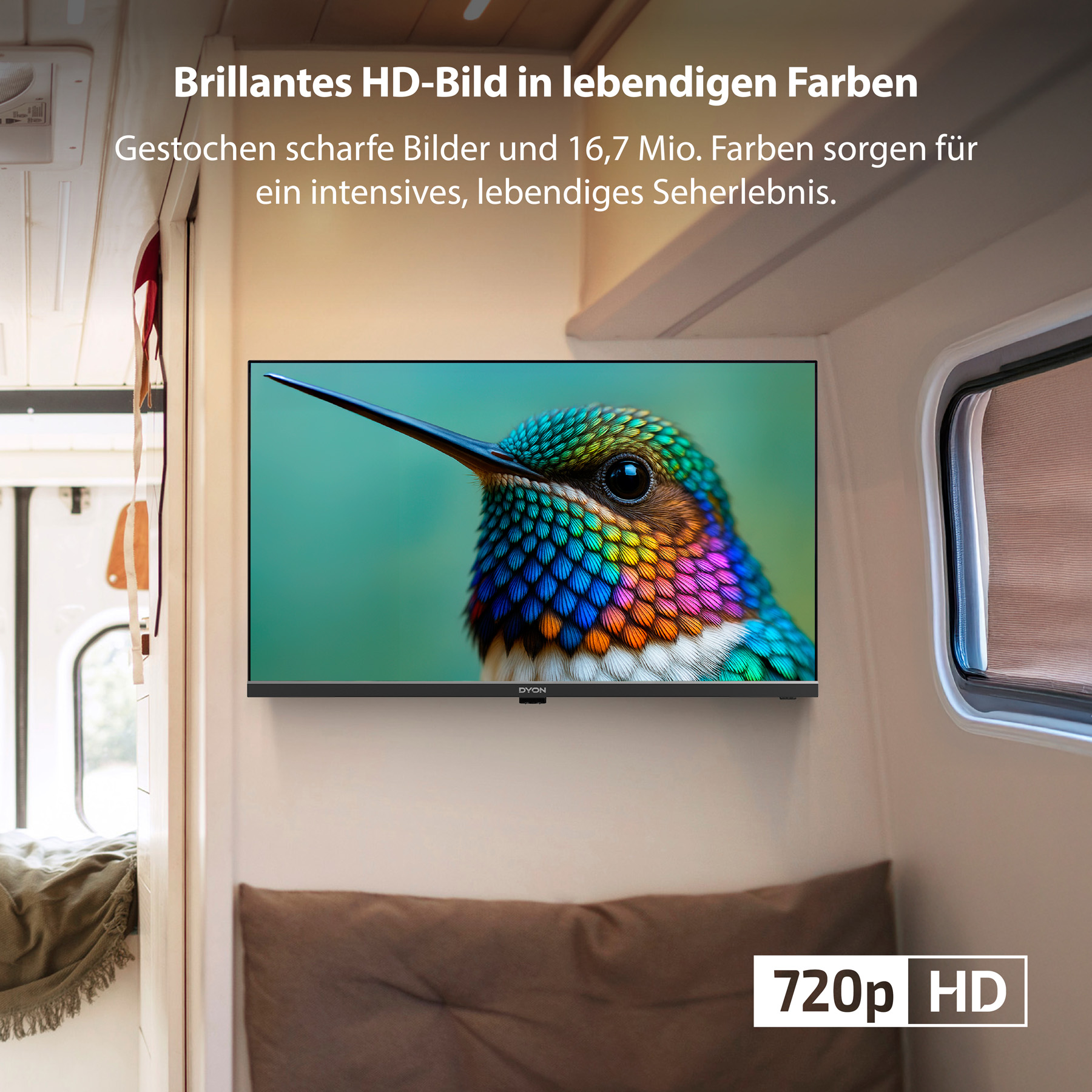 DYON LED-TV Enter 24 Pro-X-V, 24" (60 cm), HD, 12 V Anschlusskabel