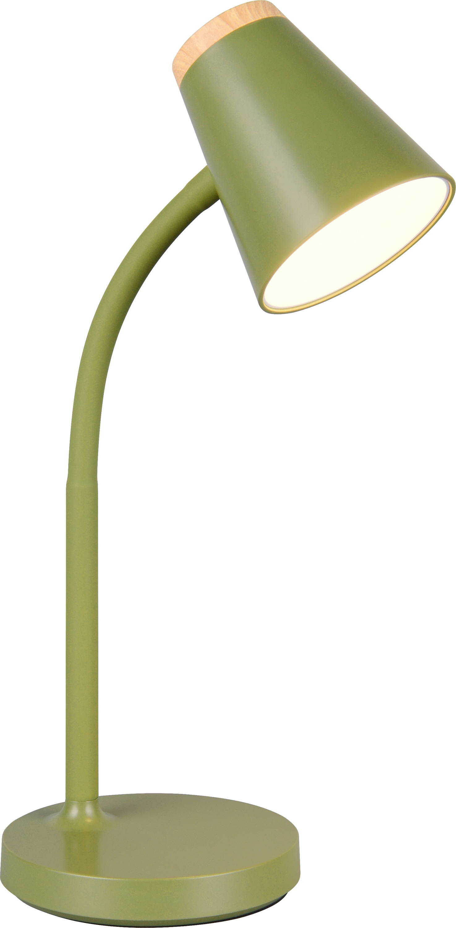REALITY LED-Tischleuchte PONGO, R55831115, 4,5W, 500lm, 3000K, grün