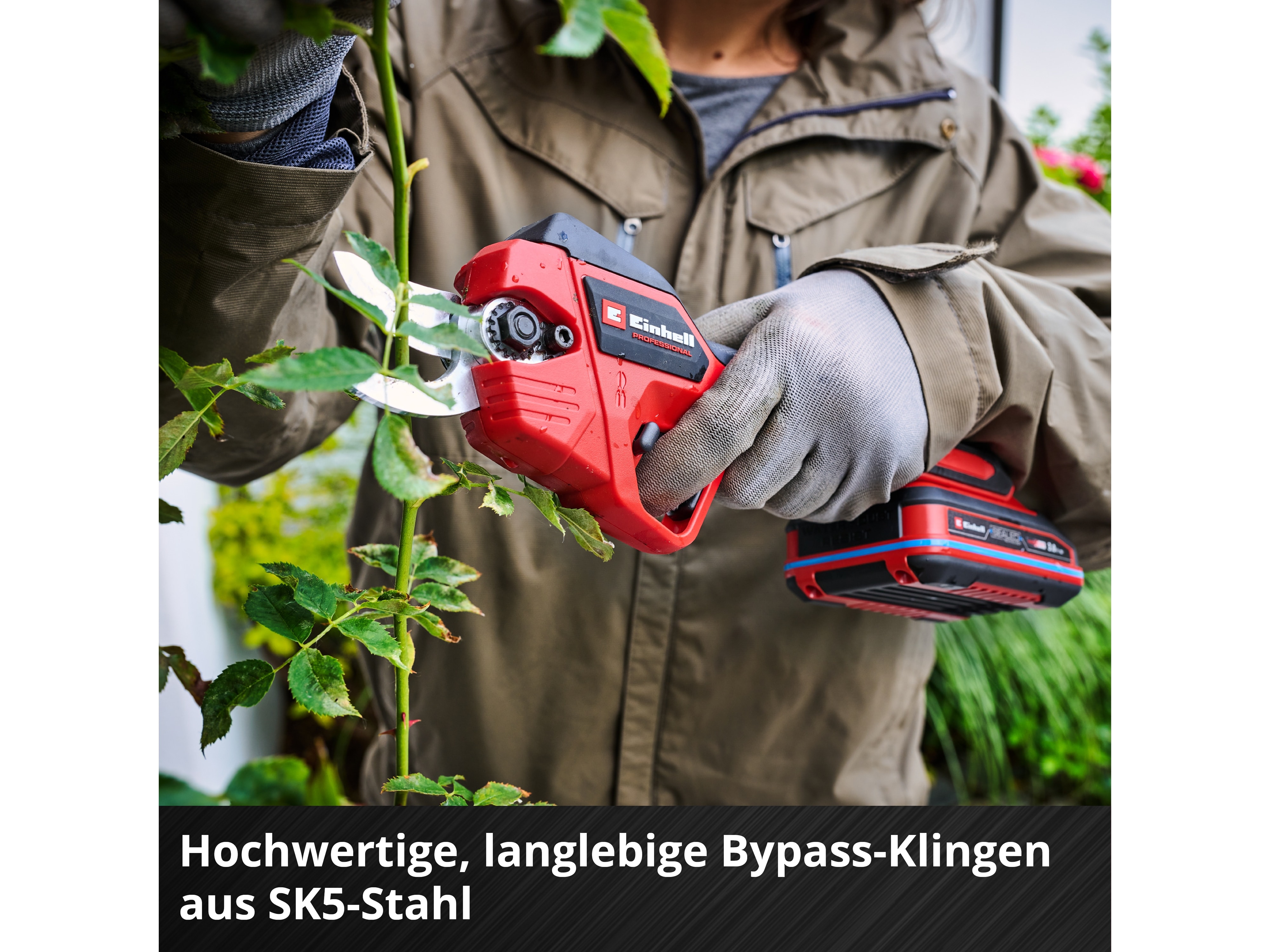 EINHELL PROFESSIONAL Akku-Astschere GP-LS 18/28 Li BL Kit (1x 4,0 Ah)