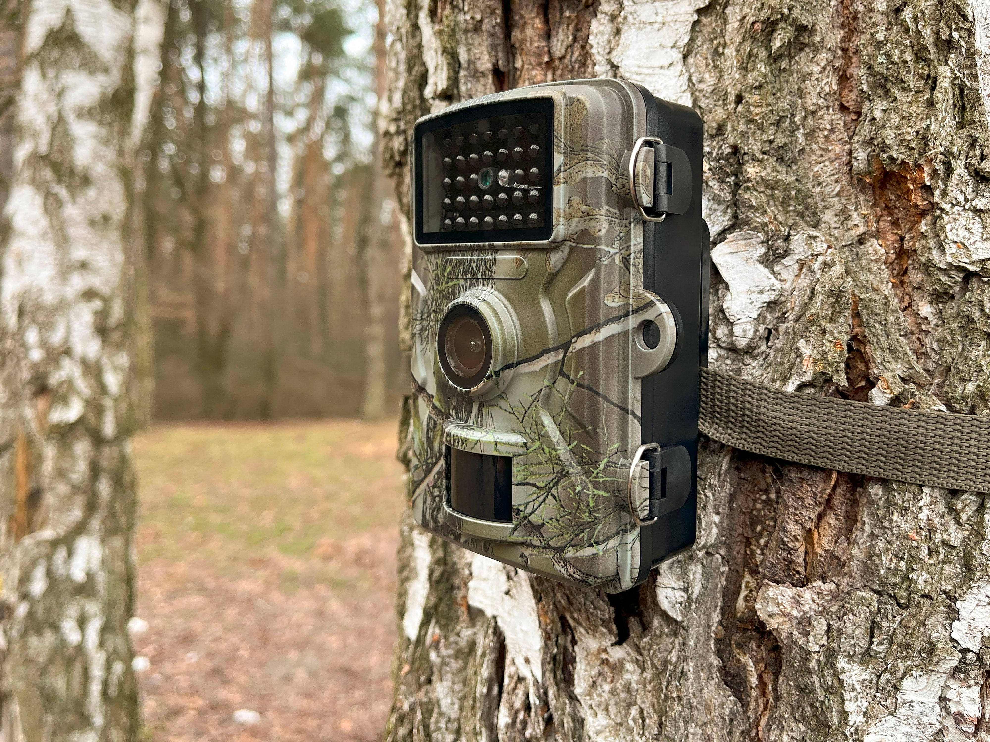 TECHNAXX Wildkamera TX-256, 1080p TECHNAXX Wildkamera TX-256, 1080p