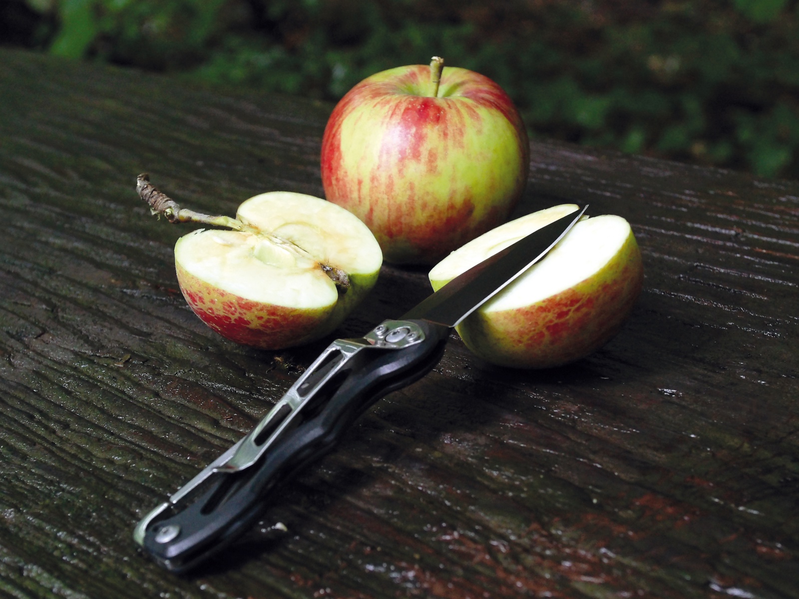 BLANKO Survival-Set 10-teilig