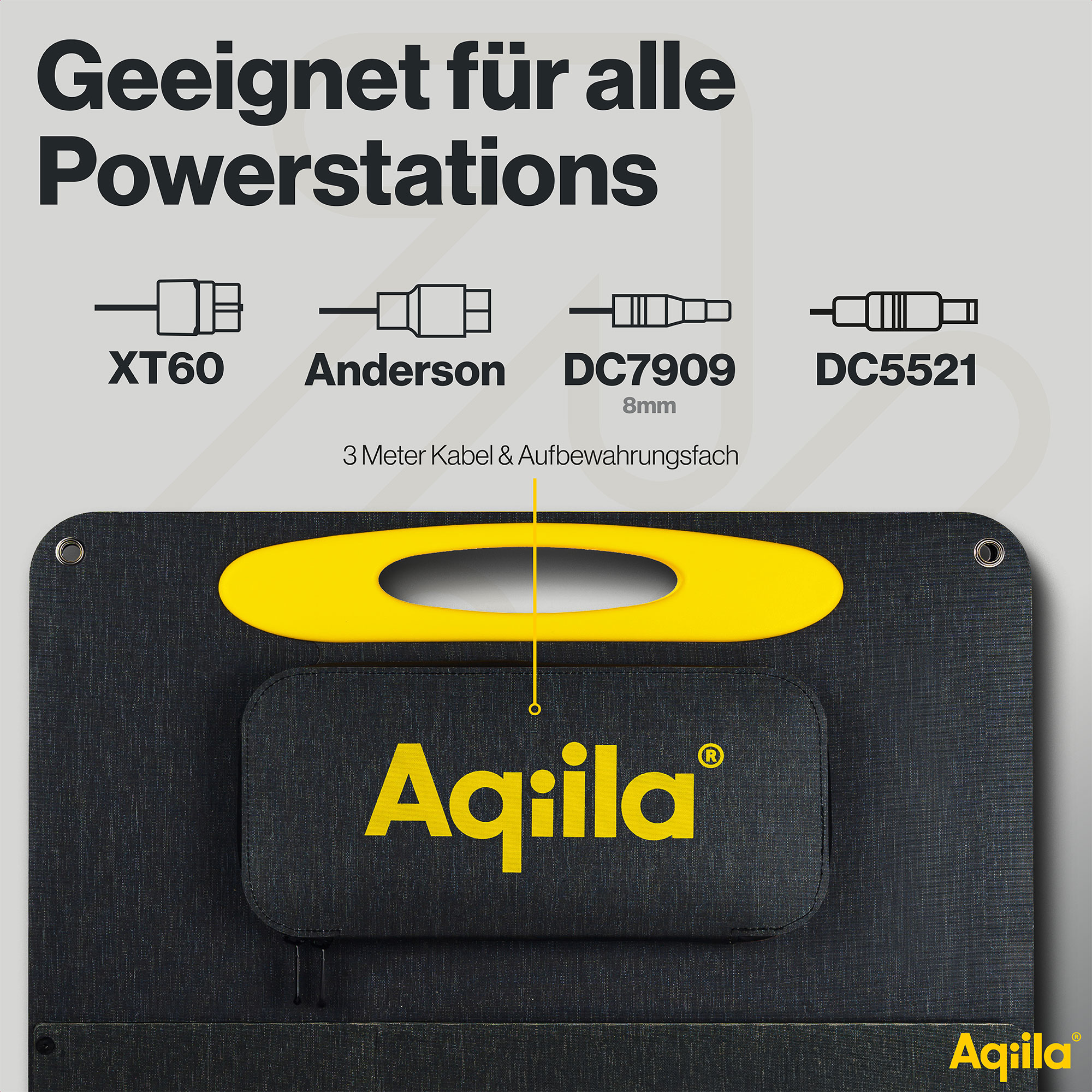 AQIILA Solarpanel Sunbird P100, 100 W, schwarz