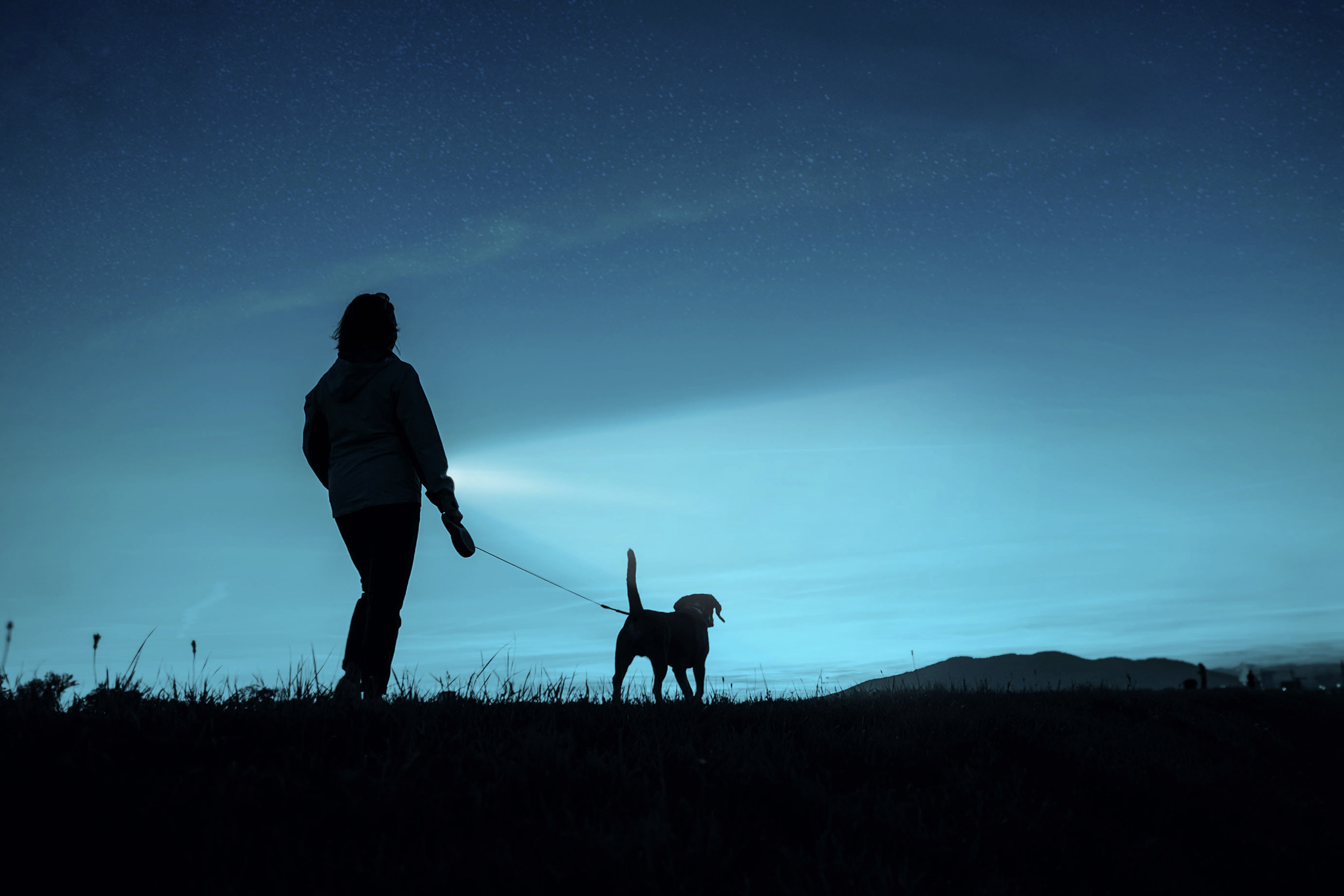 ANSMANN LED-Taschenlampe ANSMANN Daily Use 150B, 150 lm, batteriebetrieben