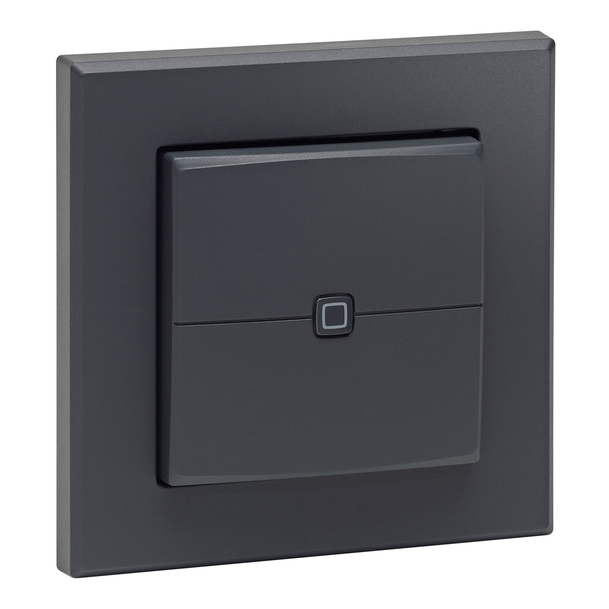 HOMEMATIC IP 161869A0 Wandtaster 2-fach anthrazit