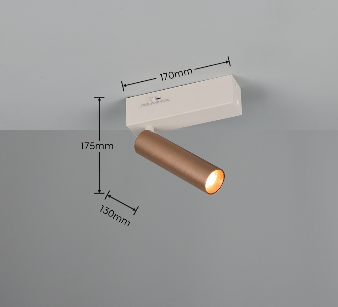 TRIO LED-Spotleuchte AMBALA, 849210165, 5 W, 500 lm, coffee