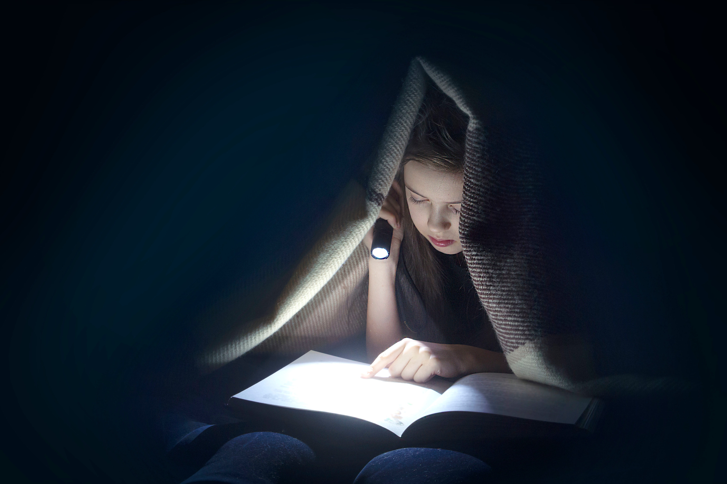 ANSMANN LED-Taschenlampe Daily Use 50B, 56 lm, batteriebetrieben