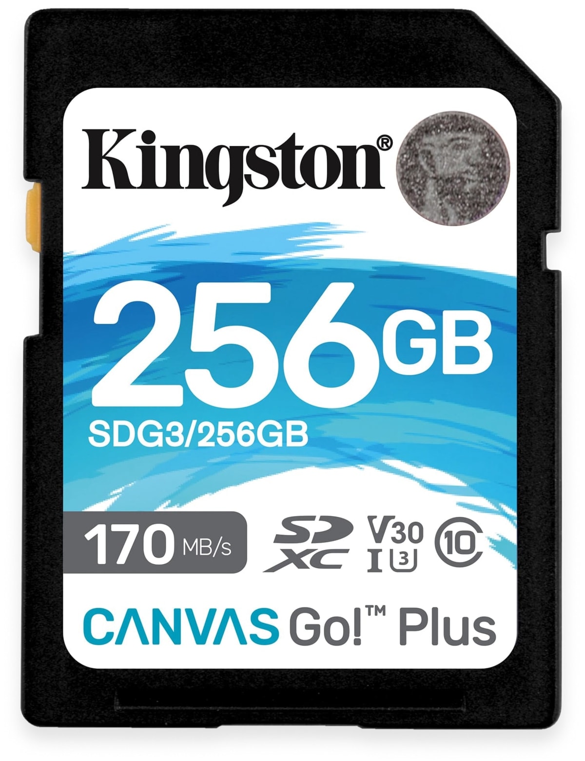 KINGSTON SD-Card Canvas GO!, 256 GB