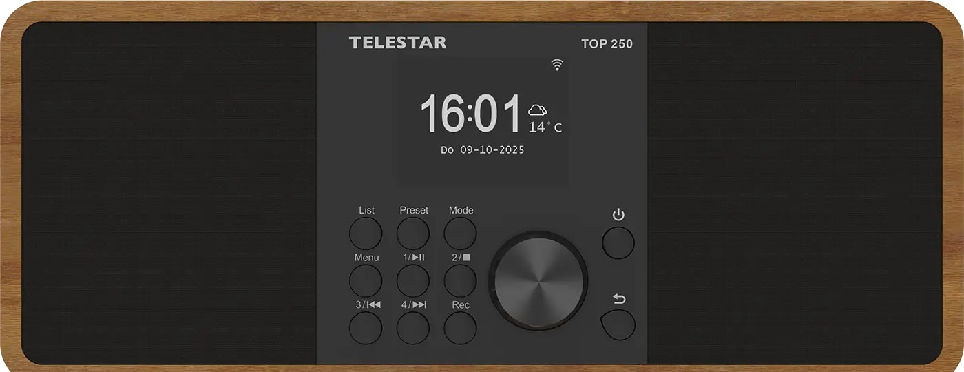 TELESTAR Digitalradio TOP 300, DAB+/UKW, Bluetooth, Holzoptik