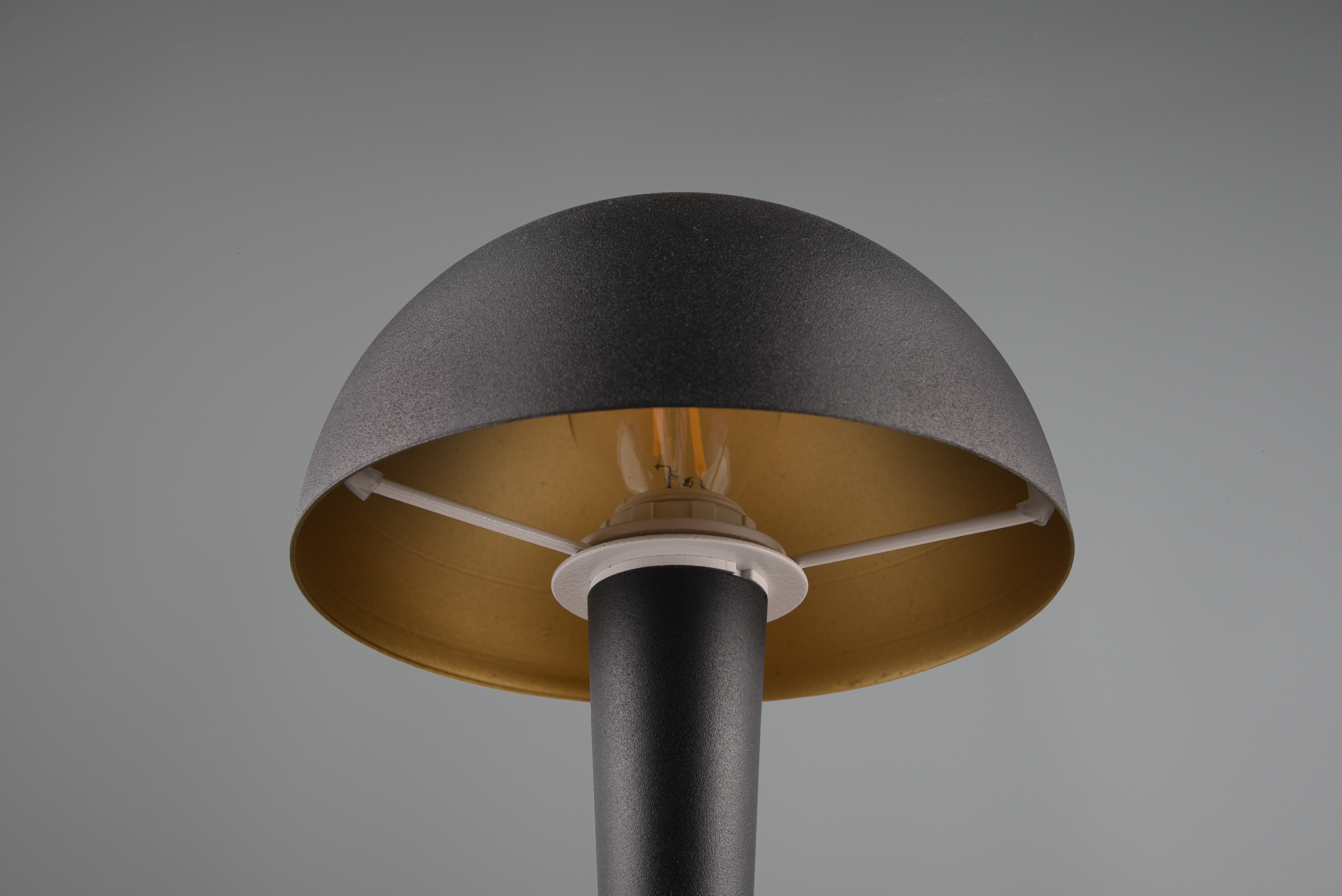 REALITY LED-Tischleuchte Canaria R59561180 schwarz-gold, E14, 4,9 W, 470 lm, 3000 K REALITY LED-Tischleuchte Canaria R59561180 schwarz-gold, E14, 4,9 W, 470 lm, 3000 K