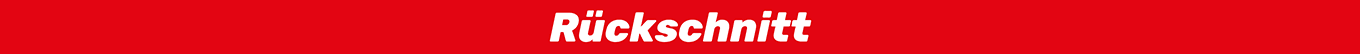 Rückschnitt Rückschnitt
