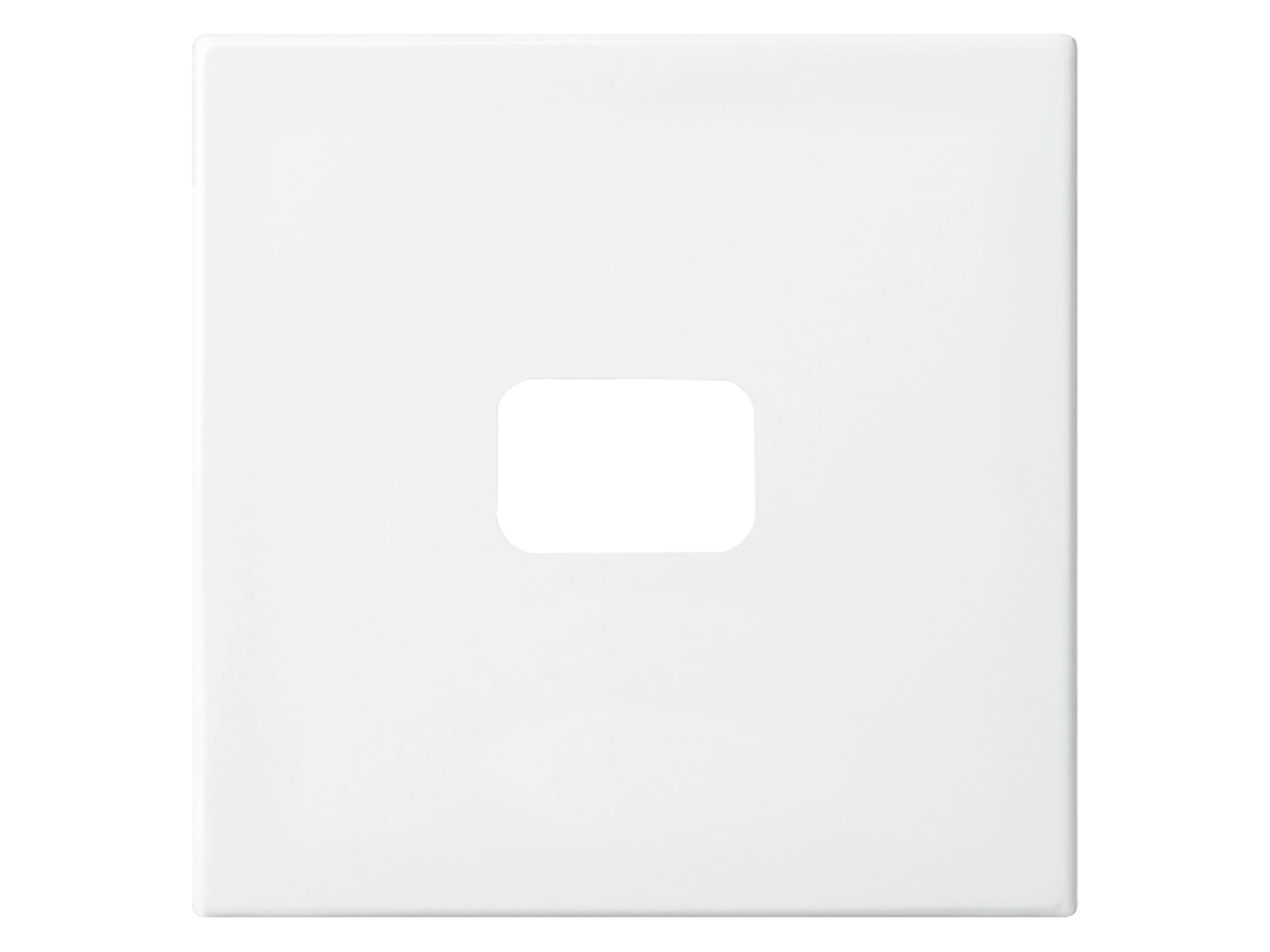 BUSCH-JAEGER Wippe 2520-914, offen für Symbol, alpinweiß