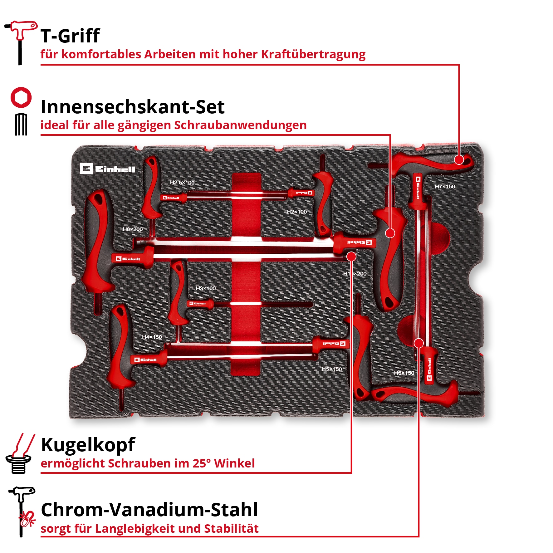 EINHELL E-Case-Einleger T-Griff-Schraubendreher, 370526, 9-teilig