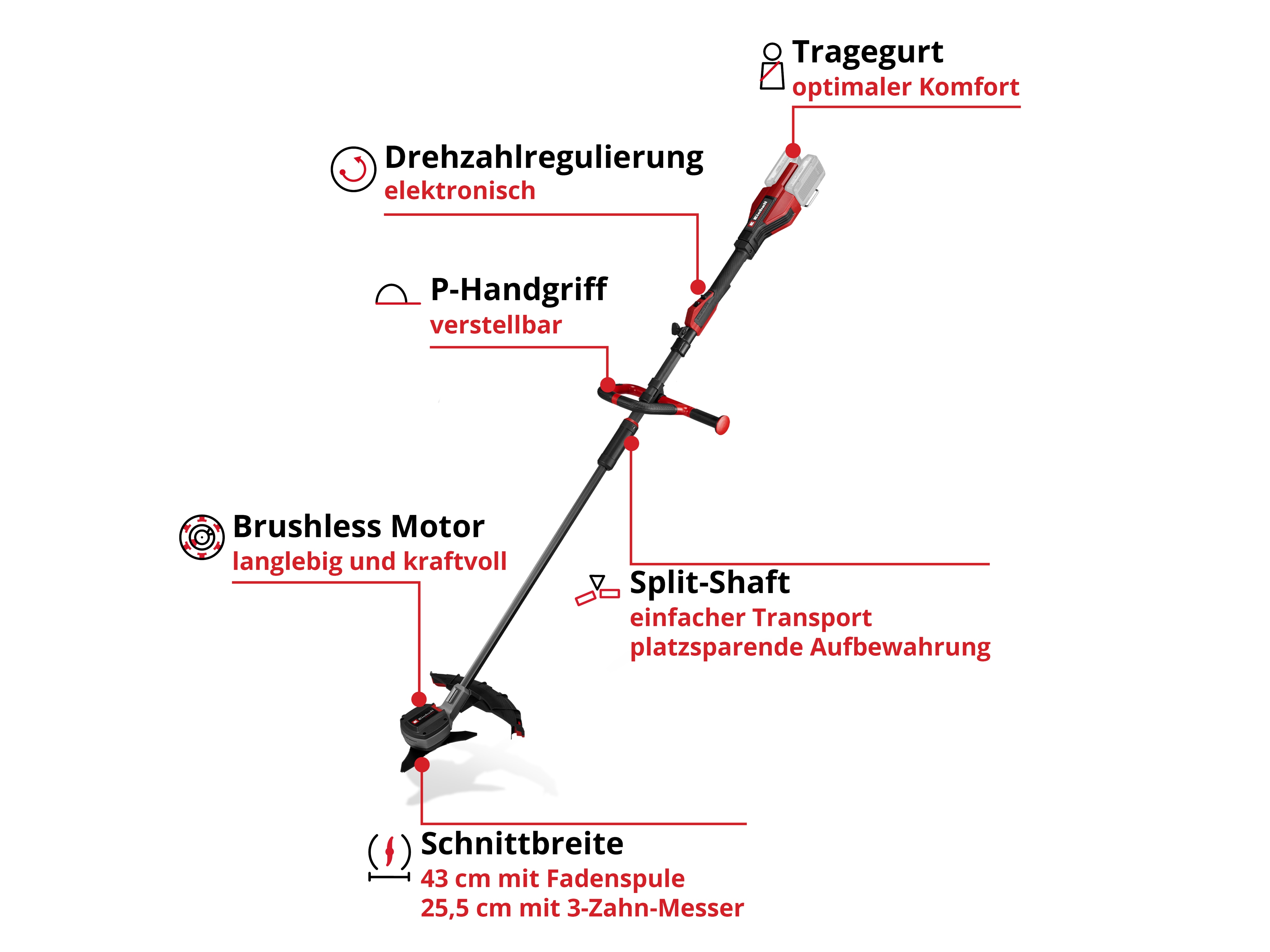 EINHELL PROFESSIONAL Akku-Sense GP-BC 36/430 Li P BL Kit (2x 4,0 Ah)