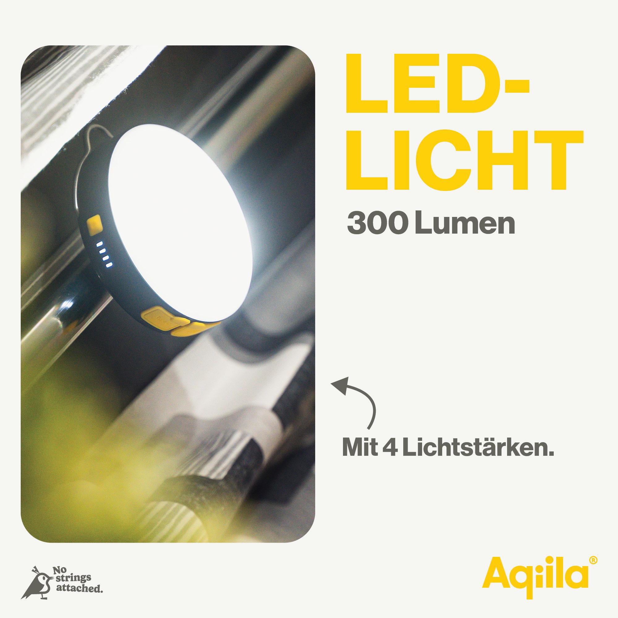 AQIILA BL10, Leuchte, 20 W mit Powerbank, 10.000mAh, schwarz AQIILA Powerbank BL10, mit Leuchte, 20 W, 10.000mAh, schwarz