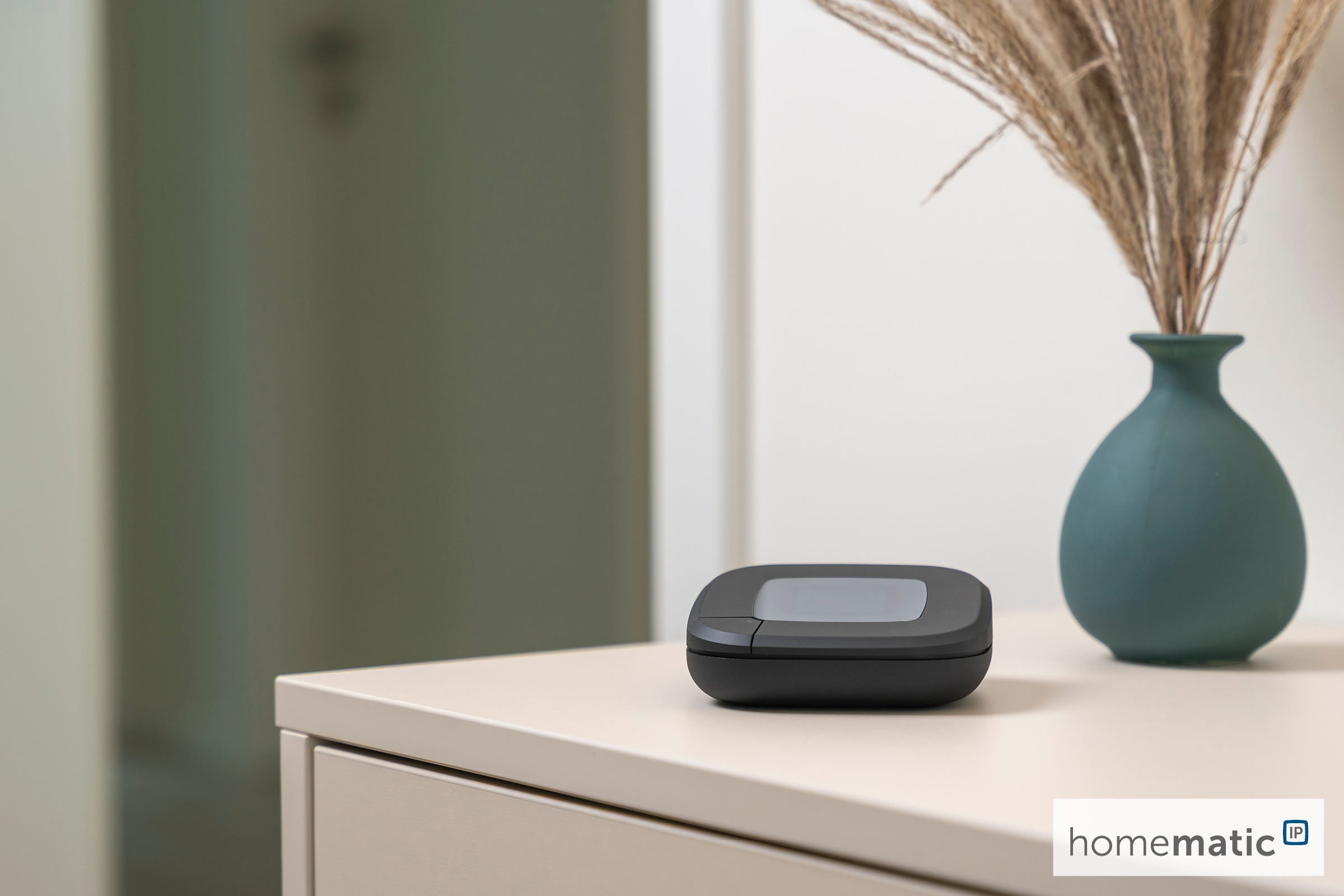 HOMEMATIC IP Schalt-Mess-Kabel + Access Point 2, anthrazit