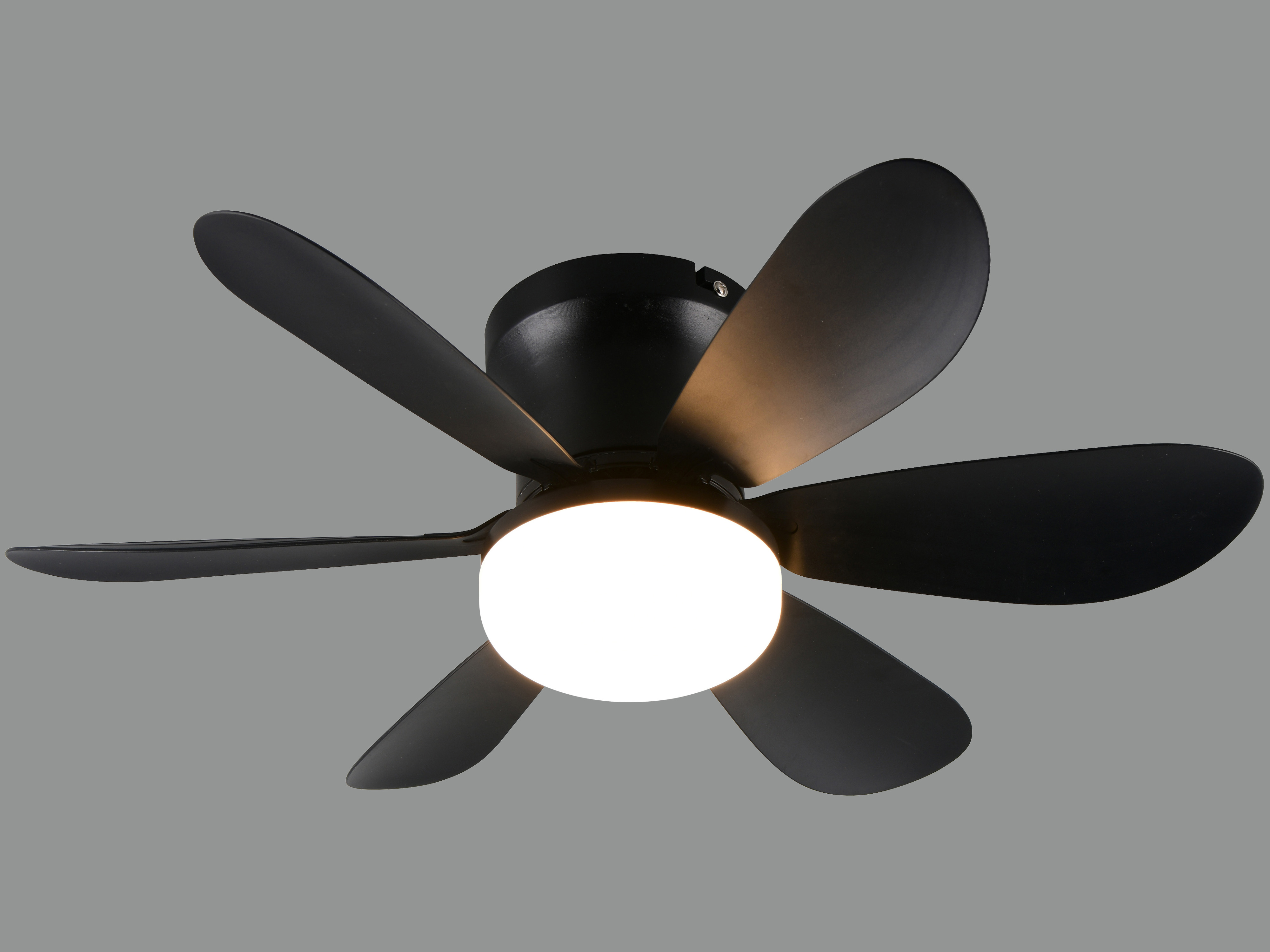 REALITY LED-Deckenleuchte mit Ventilator Lund R67462132, 20W, 2700... 6500K, 850lm, CCT, IP20, schwarz