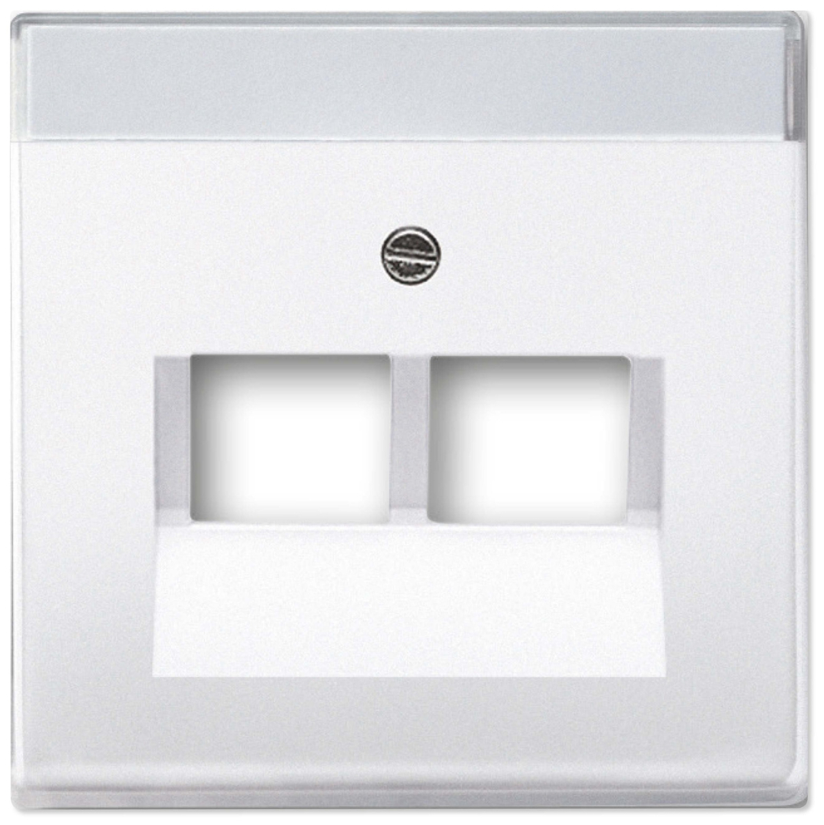 Busch-Jaeger Zentralscheibe dav/sws f.UAE-Anschlussdo.2f 1803-02-84